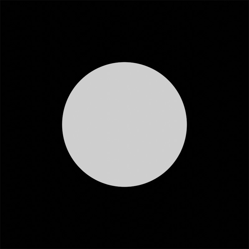 A plain white circle on a black background.